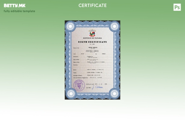 модерен стил Панама шаблон за PSD шаблон за извод од матична книга на родени од 